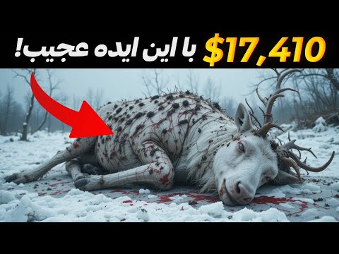 ???? ????? ?? ??? ?????? ???? ??????